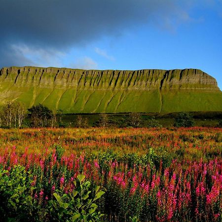 Central Sligo Townhouse المظهر الخارجي الصورة