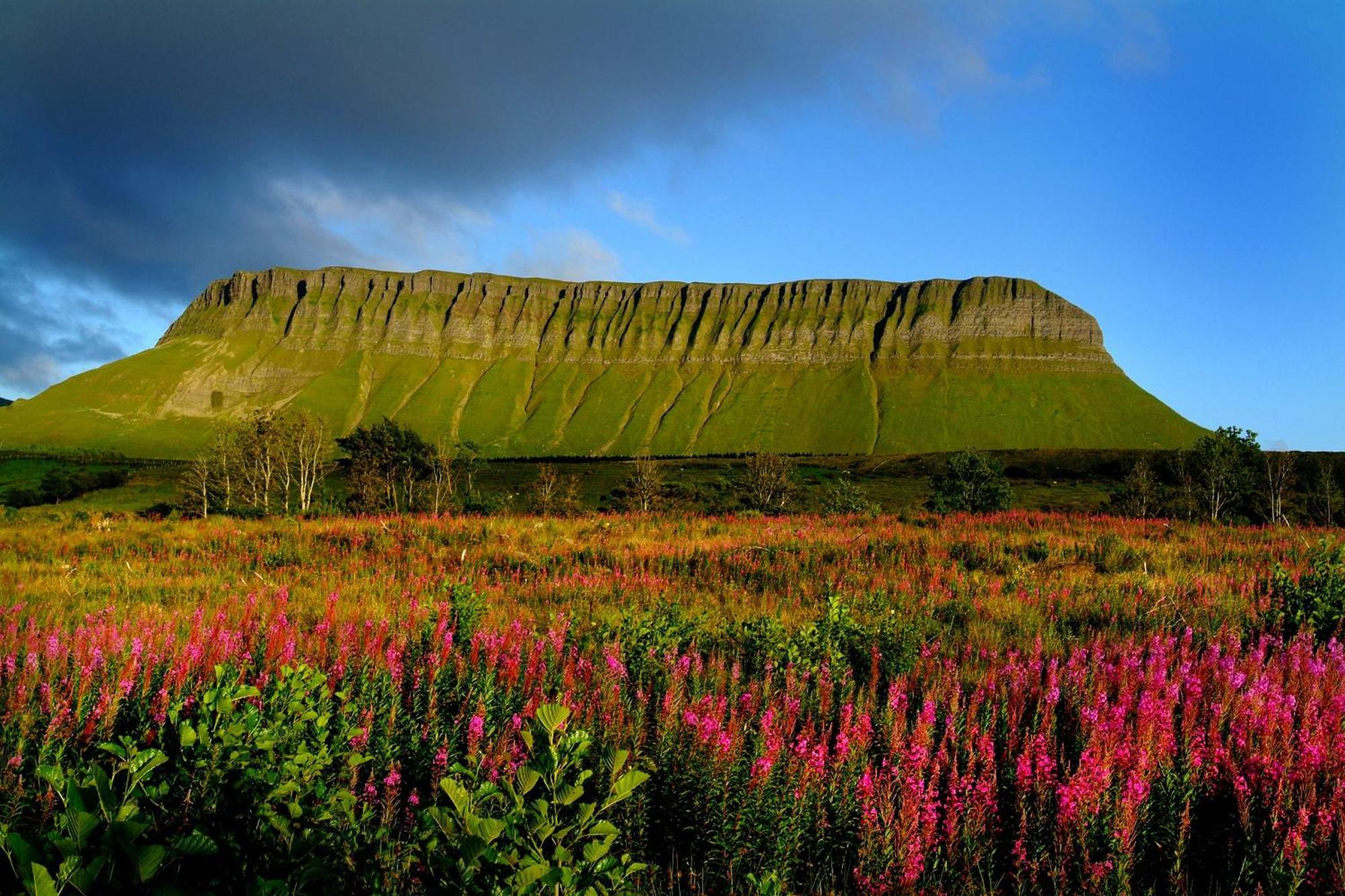 Central Sligo Townhouse المظهر الخارجي الصورة